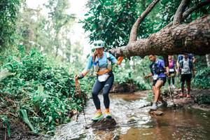 BIB: 
                            <button type="button" onclick="openModal(25375945)" class="btn btn-primary btn-sm float-right btn-popup" data-toggle="modal" data-target=".modal-high-quality">
                        <i class="fas fa-shopping-cart"></i> Add to Cart
                    </button>
                                            <button type="button" onclick="isThisMe(25375945, true)" class="btn btn-success btn-sm float-right btn-popup btn-isme hidden" data-toggle="tooltip" data-placement="bottom" title="นี่คือรูปของคุณใช่ไหม คลิกที่นี่เพื่อเอาเข้าอัลบั้ม">
                        <i class="fas fa-plus"></i> Add to album
                    </button>
                    <button type="button" onclick="isThisMe(25375945, false)" class="btn btn-warning btn-sm float-right btn-popup btn-isnotme hidden">
                        <i class="fas fa-ban"></i> Remove from album
                    </button>